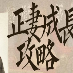 正妻成长攻略游戏