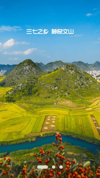 文旅文山截图