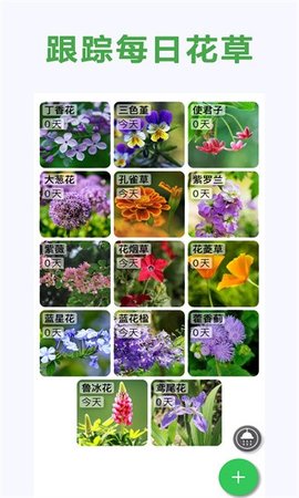 养花宝典 第2张图