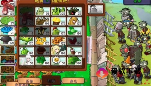 植物娘大战僵尸0.6.6 第3张图