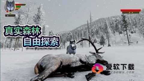森林狼生存 第1张图