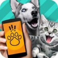 Pet translator