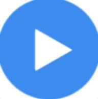 MX Player Codec