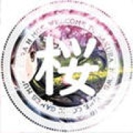 樱之空