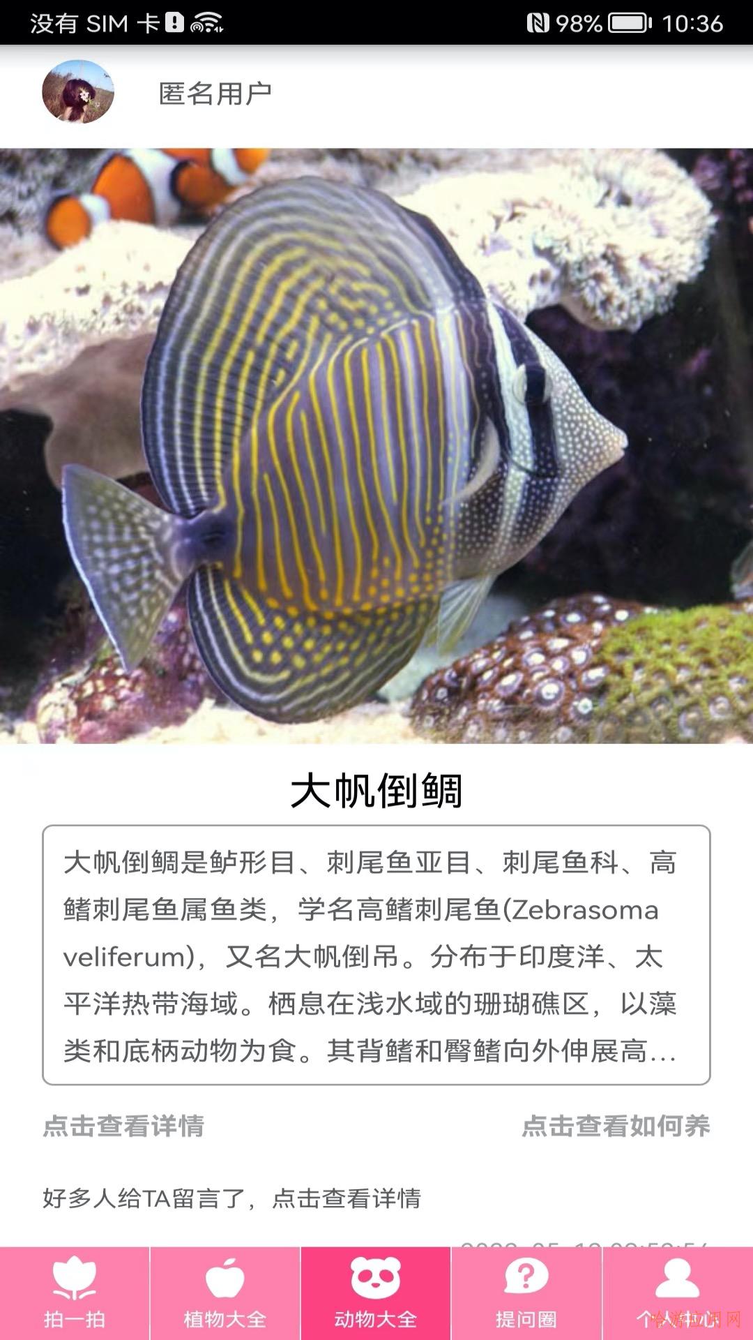 拍照识物截图