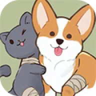 猫猫狗狗一起玩