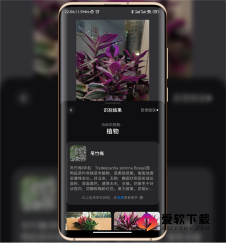 小爱视觉 第2张图