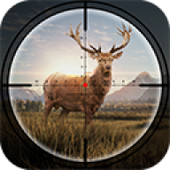 疯狂神射手免广告版