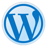 WordPress网站建设