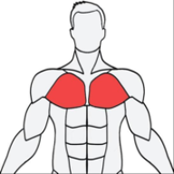 MuscleWiki