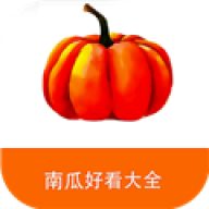 南瓜好看大全