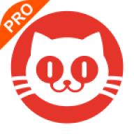 猫眼票房分析