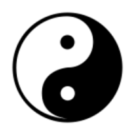 太极含光taichi