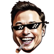 spend elon musk money